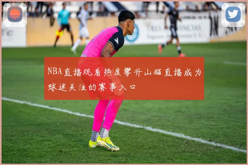 NBA直播观看热度攀升山猫直播成为球迷关注的赛事入口